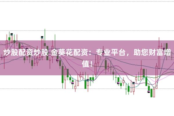 炒股配资炒股 金葵花配资：专业平台，助您财富增值！