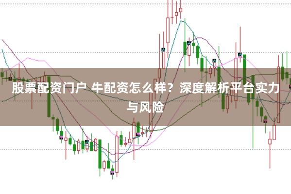 股票配资门户 牛配资怎么样?深度解析平台实力与风险