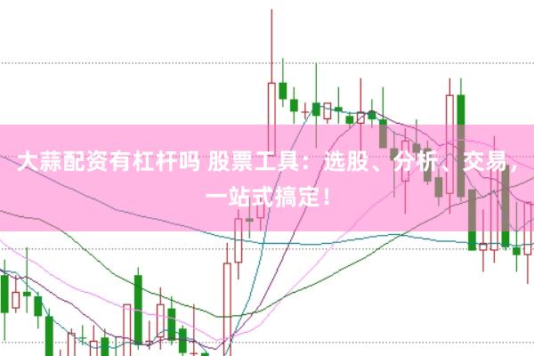 大蒜配资有杠杆吗 股票工具:选股、分析、交易,一站式搞定!