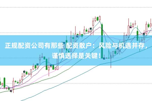 正规配资公司有那些 配资散户:风险与机遇并存,谨慎选择是关键!