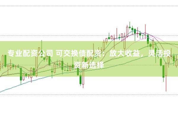 专业配资公司 可交换债配资：放大收益，灵活投资新选择