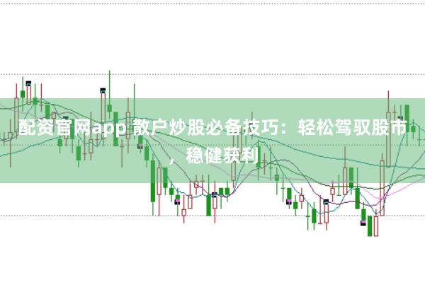 配资官网app 散户炒股必备技巧：轻松驾驭股市，稳健获利