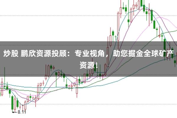 炒股 鹏欣资源投顾：专业视角，助您掘金全球矿产资源！