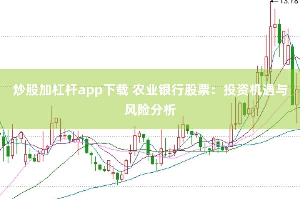 炒股加杠杆app下载 农业银行股票：投资机遇与风险分析