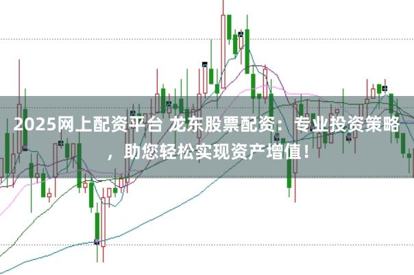 2025网上配资平台 龙东股票配资：专业投资策略，助您轻松实现资产增值！