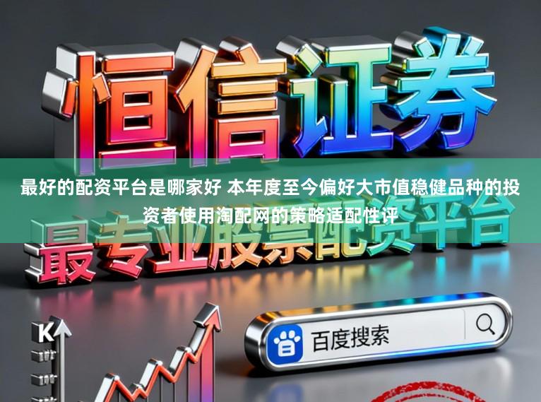 最好的配资平台是哪家好 本年度至今偏好大市值稳健品种的投资者使用淘配网的策略适配性评