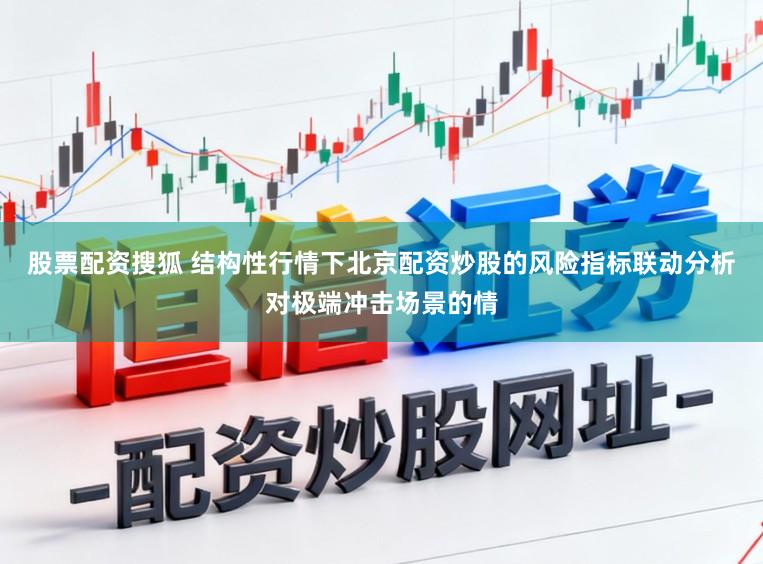 股票配资搜狐 结构性行情下北京配资炒股的风险指标联动分析对极端冲击场景的情