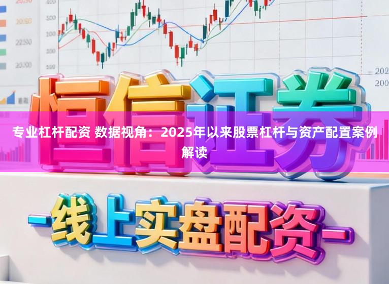 专业杠杆配资 数据视角：2025年以来股票杠杆与资产配置案例解读