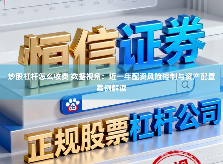 炒股杠杆怎么收费 数据视角：近一年配资风险控制与资产配置案例解读
